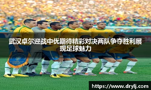 芒果体育登录注册